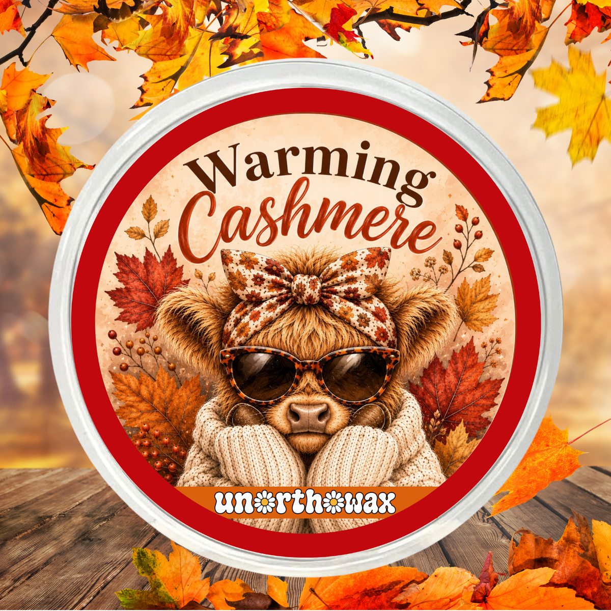 Warming Cashmere 50g Segment Pot Wax Melt