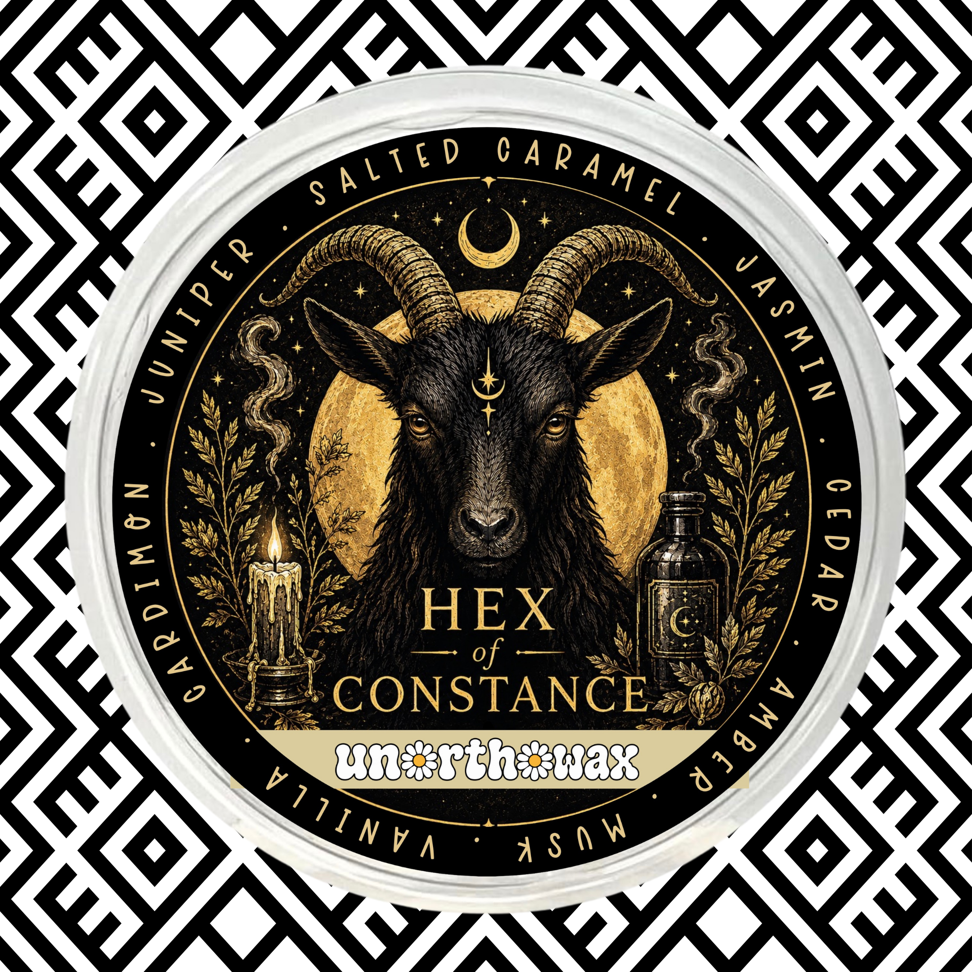 Hex Of Constance 50g Segment Pot Wax Melt